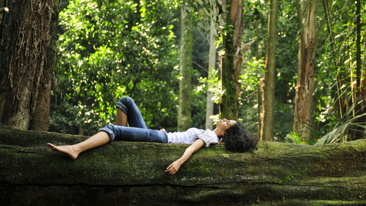 What is forest bathing? Know everything about Shinrin-yoku, the Japanese practice of staying calm